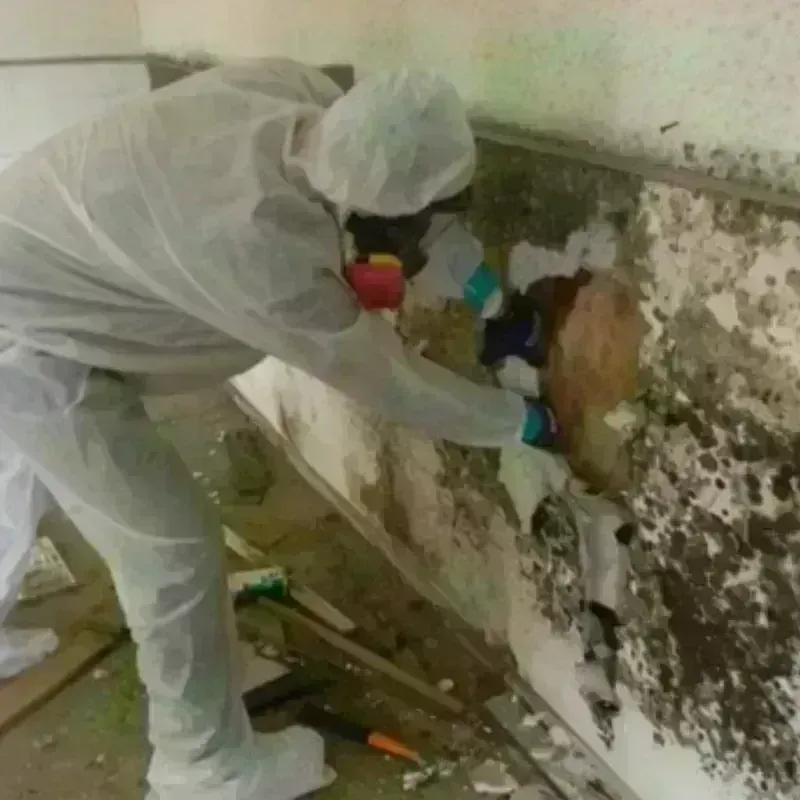 Mold Remediation and Removal in Tilton-Northfield, NH